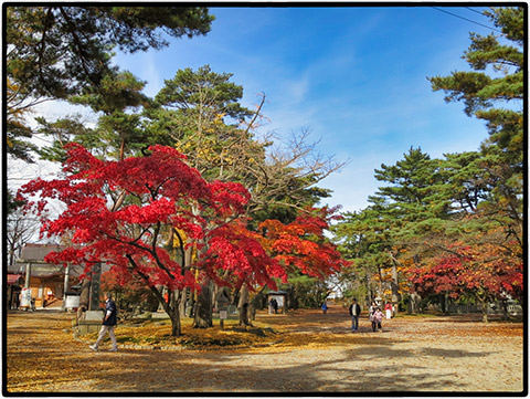 千秋公園の紅葉
