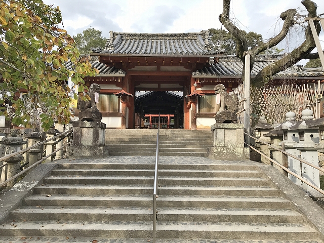 氷室神社　四脚門と枝垂れ桜