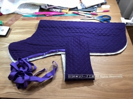 犬服ジョイ用ガウン紫p900-IMG_9169
