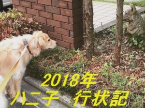 20190108ハニ子行状記タイトル