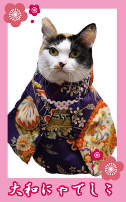kimono01_donko.jpg