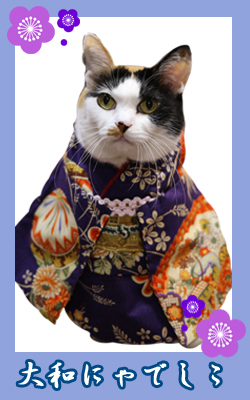 kimono01_donko1.jpg