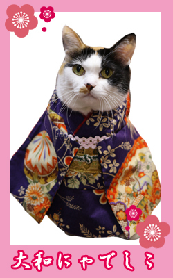 kimono01_donko3.jpg
