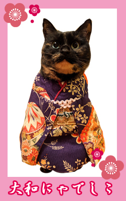 kimono03_gin.jpg