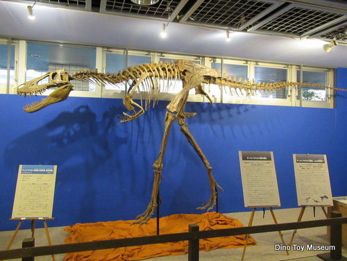 埼玉県にティラノサウルス亜成体ジェーンと衝撃の羽毛恐竜たちが出現！