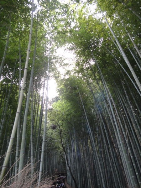 arashiyama_ashiyu_08.jpg
