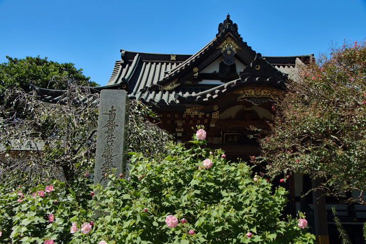 180909_Myoryuji-Temple.jpg