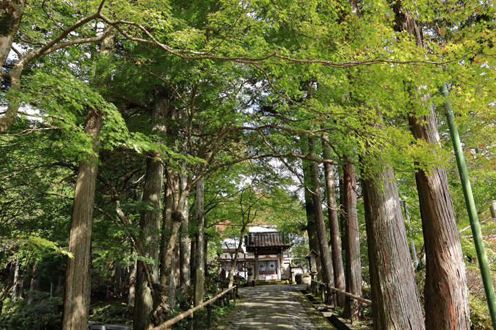 181024_Choanji-Temple_Sanmon.jpg