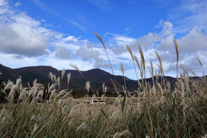 181024_Susuki-Field_Mt-Kintoki.jpg