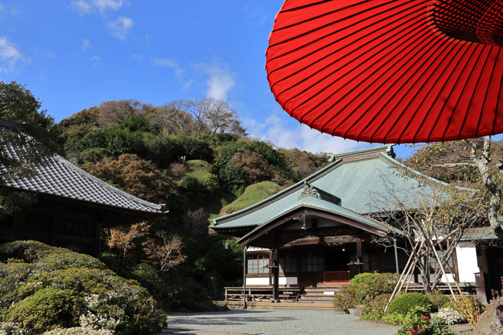 181120_Kaizoji-Temple.jpg