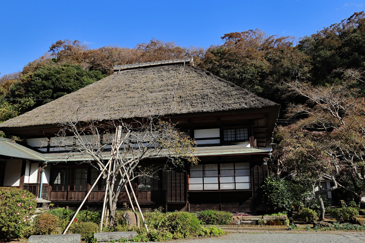 181120_Kaizoji-Temple_Kuri.jpg