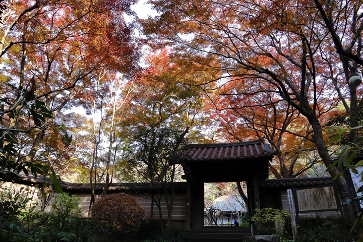 181221_Zuisenji-Temple_Sanmon.jpg