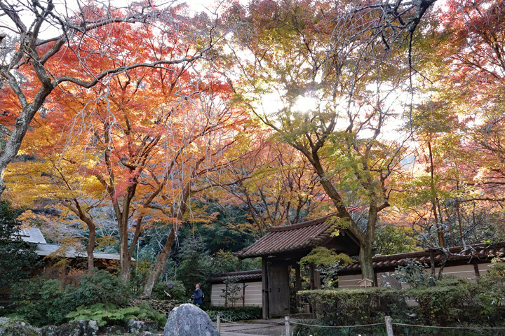 181221_Zuisenji-Temple_Sanmon_1.jpg