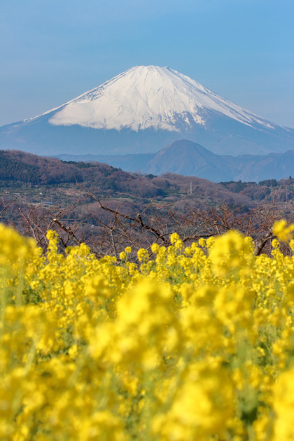 190108_Azumayam-Mt-Fuji.jpg