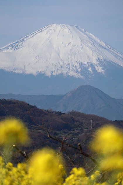 190108_Mt-Fuji.jpg