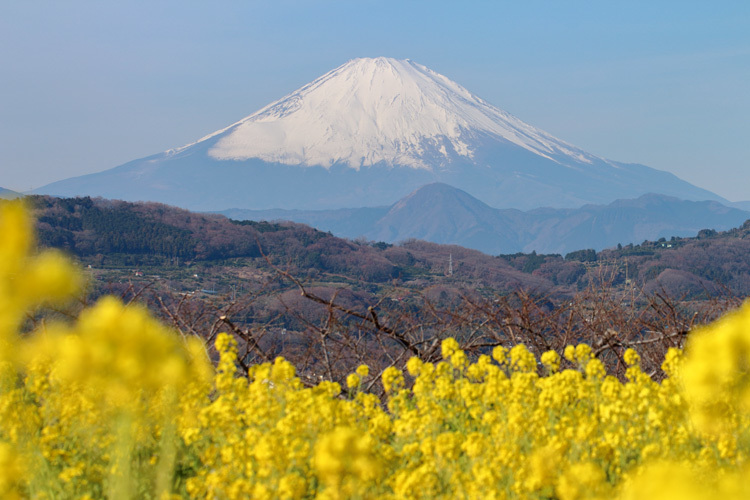190108_Mt-Fuji_Nanohona.jpg