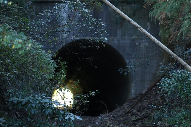 岩部八幡神社　廃トンネル