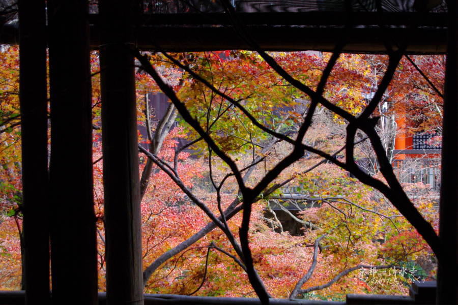 京都清水寺１－６
