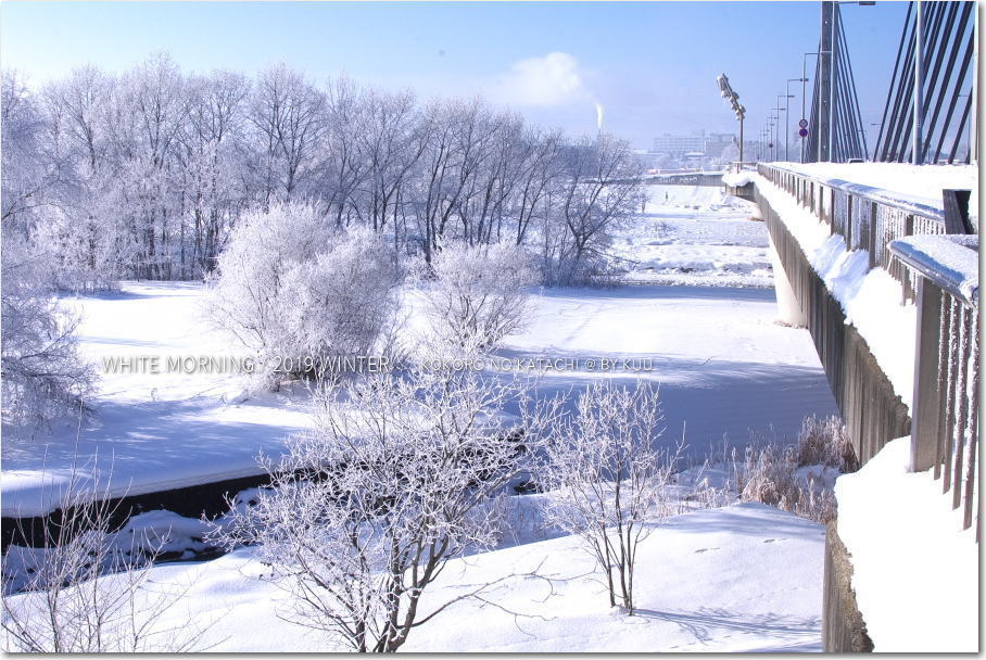 ツインハープ橋から冬景色１