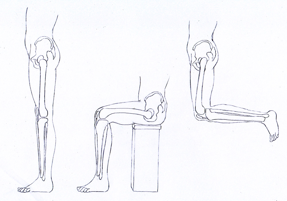お絵描き練習記録 モーションを描くための美術解剖学 その4 脚