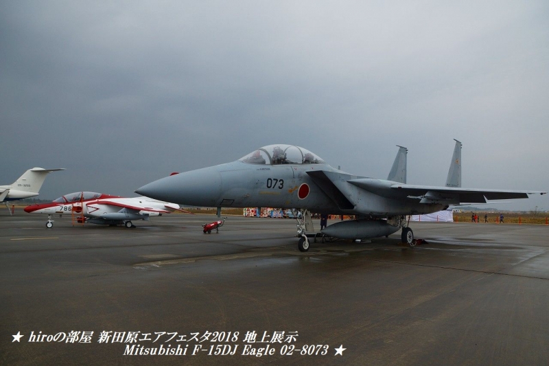 hiroの部屋　新田原エアフェスタ2018 地上展示 第23飛行隊 Mitsubishi F-15DJ Eagle 02-8073