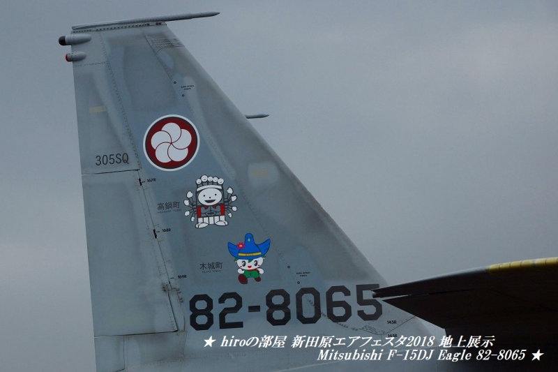 hiroの部屋　新田原エアフェスタ2018 地上展示 第305飛行隊 Mitsubishi F-15DJ Eagle 82-8065
