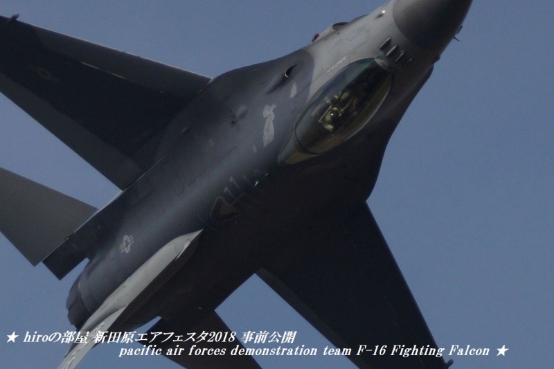 hiroの部屋　新田原エアフェスタ2018 事前公開 pacific air forces demonstration team F-16 Fighting Falcon