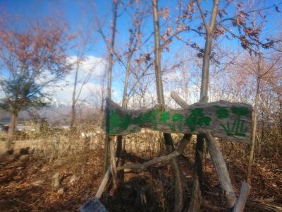理想の森プロジェクト伊那谷10周年