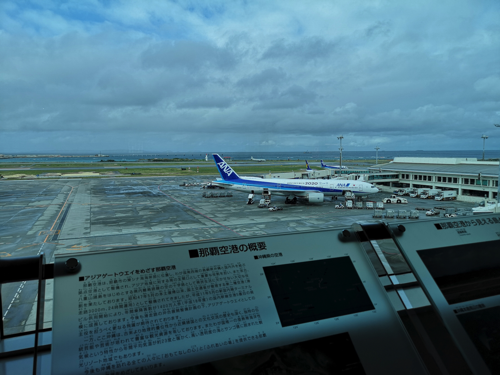 okinawa0105-4.jpg