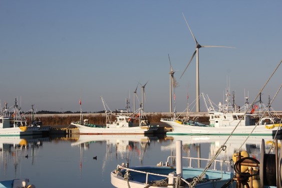 漁港と風車