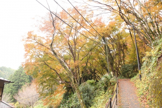 小雨の吉野山０２