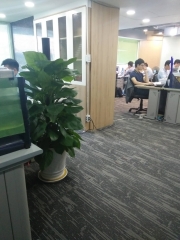ベトナム事務所に緑を２